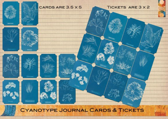 Download Cyanotype Journal Cards &amp; Tickets - Card Collection